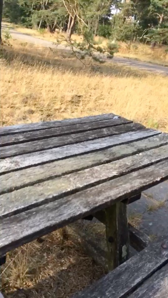 outdoor suck and cum — 29